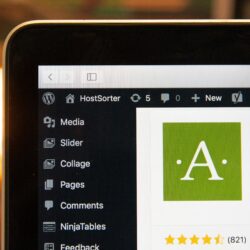 Die besten kostenlosen WordPress-Themes