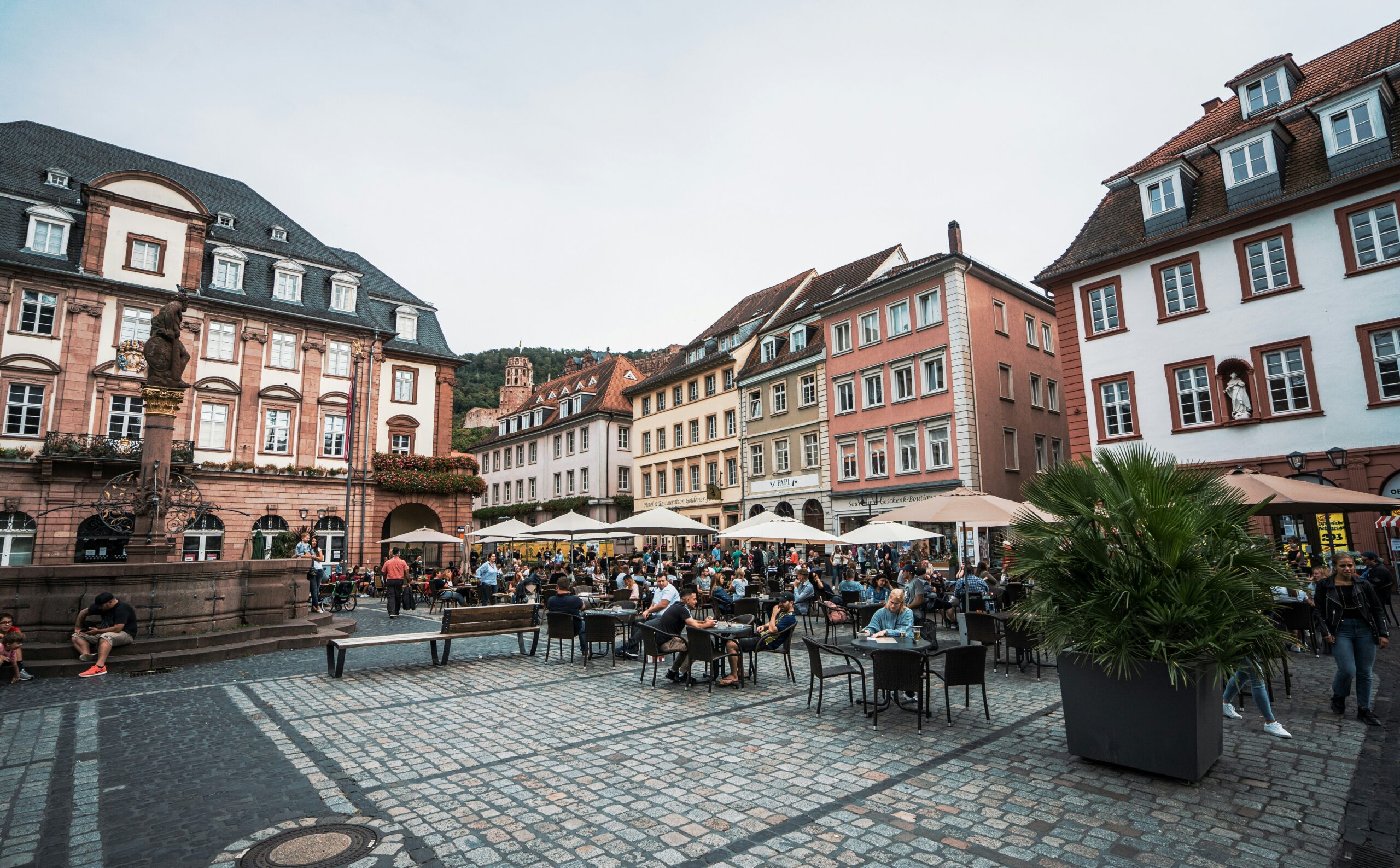 SEO-Beratung in Baden-Württemberg