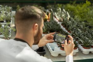 Garten gestalten mit KI: Der digitale Weg zum Wunschgarten Garten gestalten mit KI